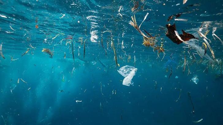 Okyanusun her katmanında mikroplastik bulundu