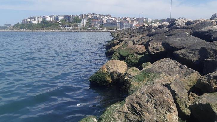 Bandırma’da sahildeki kayalıklar arasında ceset bulundu