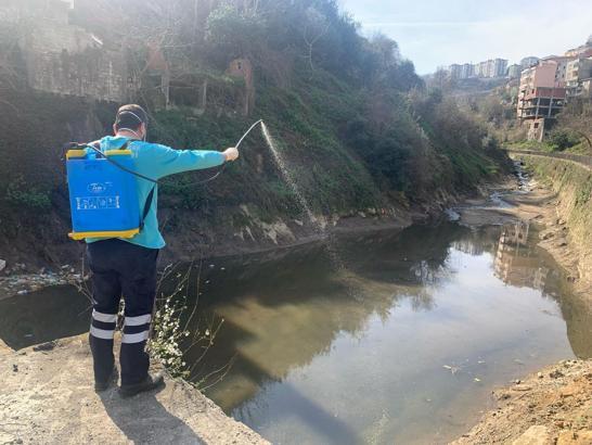 Büyükşehir Belediyesi vektörle mücadelede yaza hazır