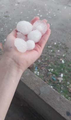 Adana'da dolu yağışı; tarım arazileri zarar gördü