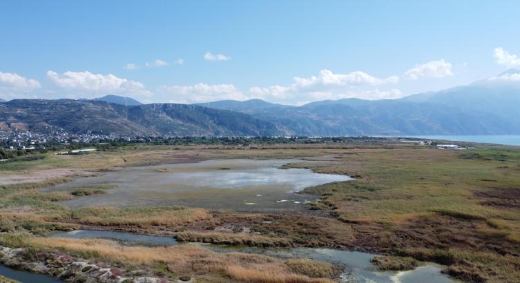 Hatay'daki Milleyha Sulak Alanı'nda bu yıl 12 yeni kuş türü gözlendi