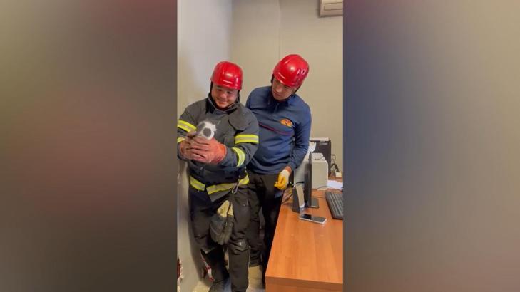 Osmaniye’de su borusu ve panel arasında mahsur kalan yavru kediler kurtarıldı