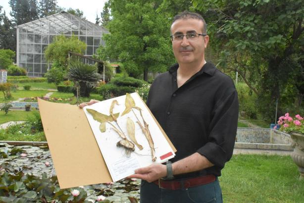 Yeni keşfedilen bitki türü 'Milleyha tirşiği' risk altında