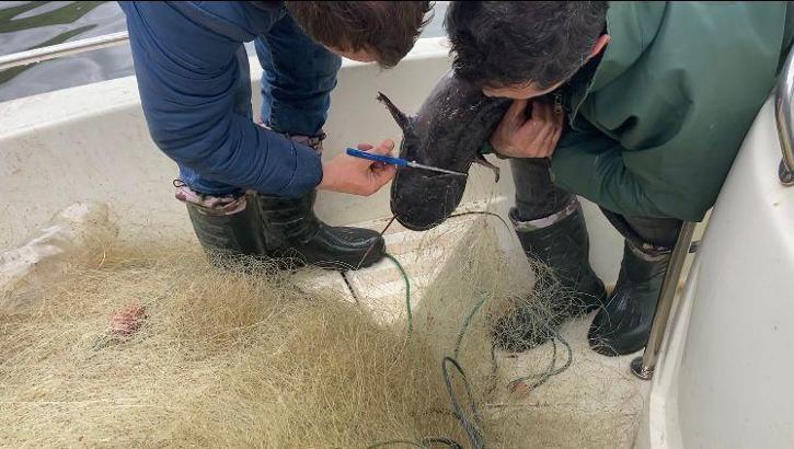 Samsun’da iç sularda av yasağına denetim