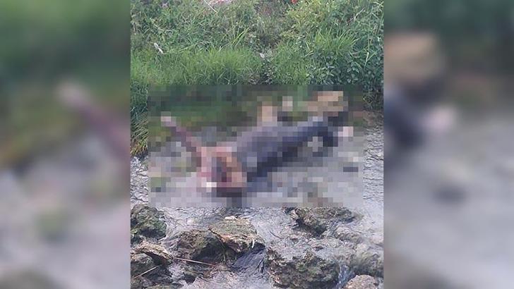 Cezaevinden izinli çıktı, dere yatağında ölü bulundu