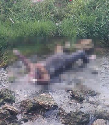 Cezaevinden izinli çıktı, dere yatağında ölü bulundu