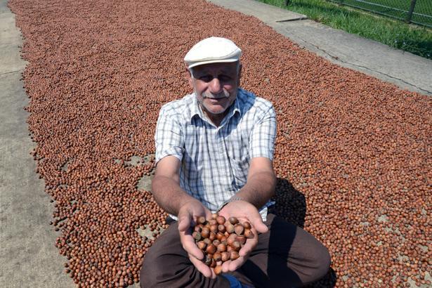 Fındık ihracatında artış