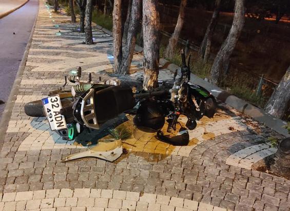 Motosiklet ağaca çarptı: 1 yaralı
