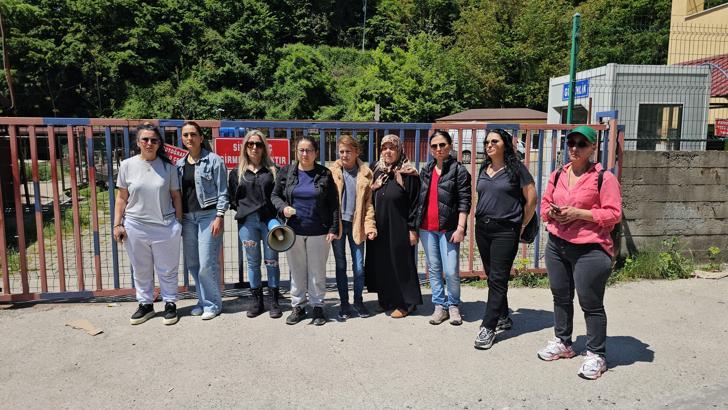 Köpek, saldırgan olduğu gerekçesiyle uyutuldu, hayvanseverler tepki  gösterdi - Zonguldak Merkez Haberleri