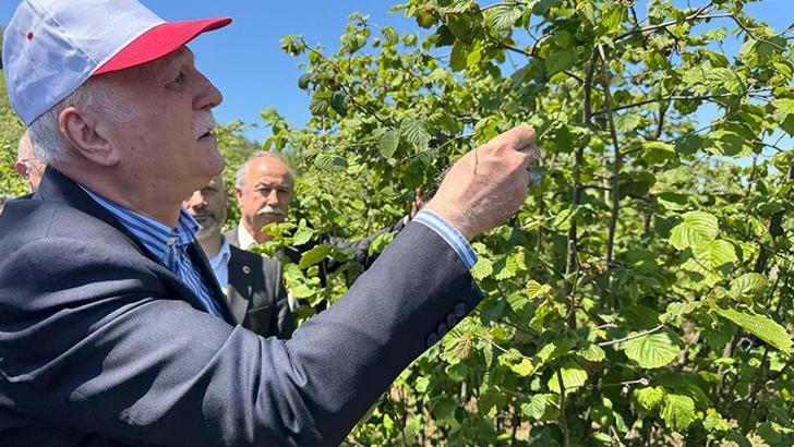 TZOB Genel Başkanı Bayraktar: Zirai don hasarı yüzde 100