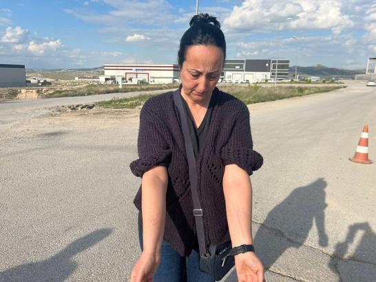 Belediye görevlileri ile hayvansever arasında 'köpek toplama' gerginliği