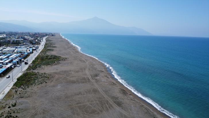 Deprem, gönüllülerin deniz kaplumbağalarını izleme ve koruma çalışmalarını da vurdu