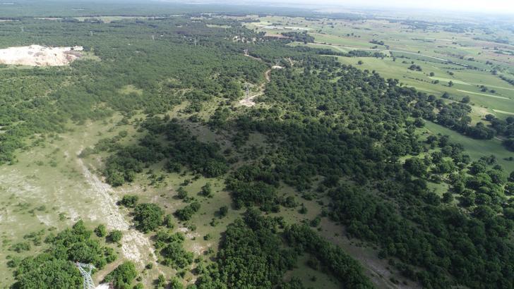 Kırklareli'de ormanlara girişler yasaklandı