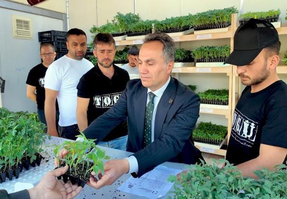 Tokat'ta üniversitenin ürettiği 1 milyon fide satışa sunuldu