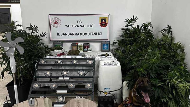 Evinde uyuşturucu imal eden şüpheli tutuklandı