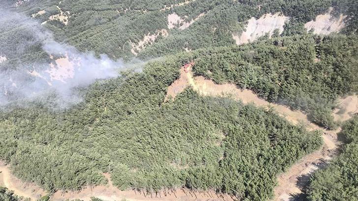 Çanakkale'de çıkan orman yangını 1 saatte kontrol altına alındı
