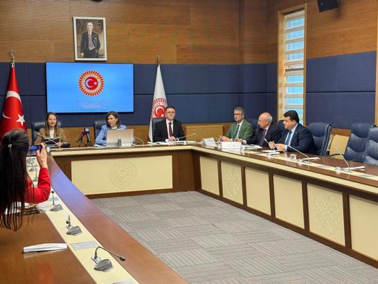 TBMM Yurt Dışı Türkler ve Akraba Toplulukları Alt Komisyonu toplandı