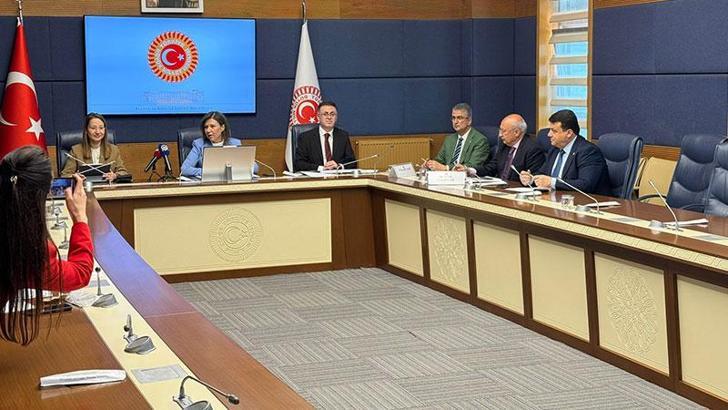 TBMM Yurt Dışı Türkler ve Akraba Toplulukları Alt Komisyonu toplandı