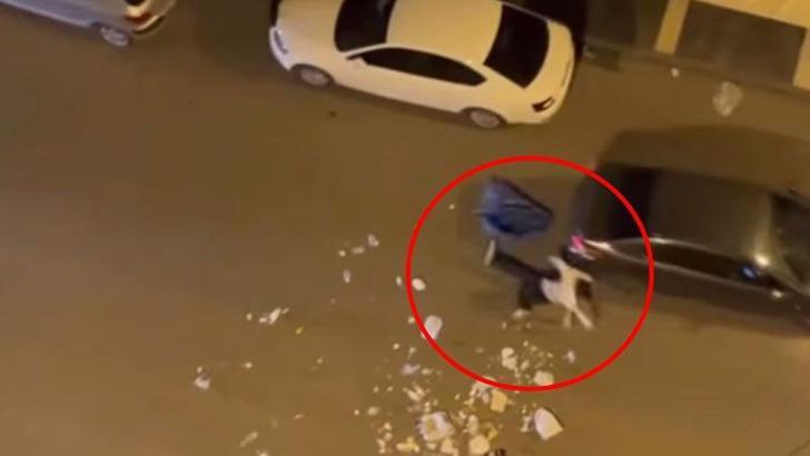 Çöpleri yola döküp geçen araçlara saldırdı