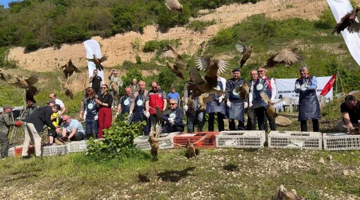 Ordu’da kahverengi kokarca ile mücadele için doğaya 800 sülün salındı