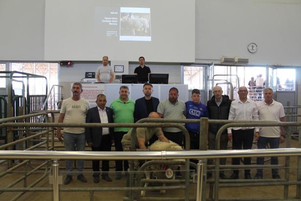 Edirne'de ilk kez 'Koç ve Teke' mezatı yapıldı