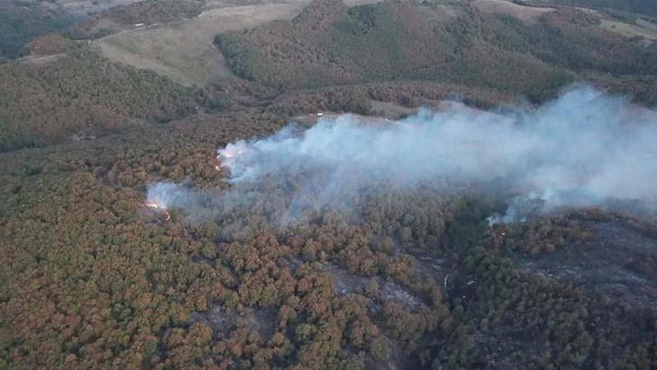Kocaeli'de orman ve makilik alanlara giriş yasağı