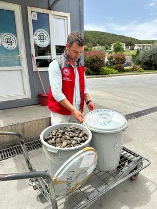 Muğla Otogarı'nda denetim : Halk sağlığına uygunsuz taşınan midye ve tavuk dönerlere el konuldu