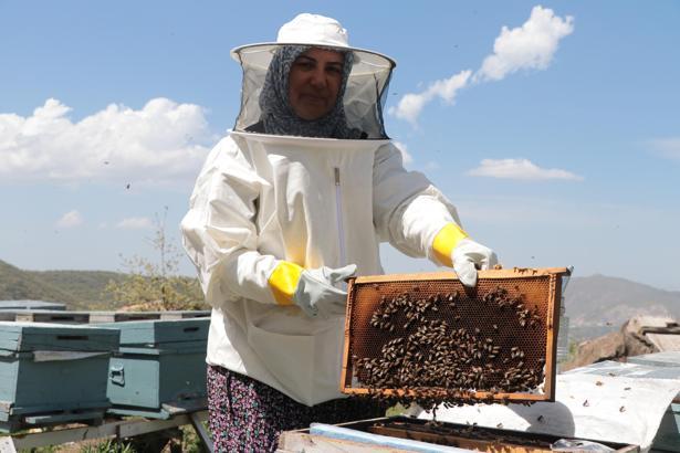 Çocukları için arıcılığa başlayan 3 çocuk annesi, kovan sayısını 5'ten 50'ye çıkardı