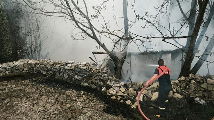 Kütahya'da 4 kümes yandı; 100 tavuk öldü