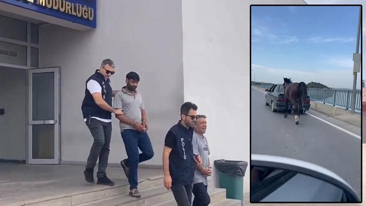 Ata eziyete 2 tutuklama