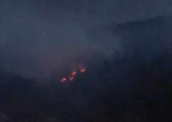 Adana'da 2 farklı noktada çıkan orman yangını kontrol altına alındı