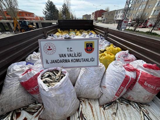 Van'da 3 ton 820 kilo inci kefali ele geçirildi