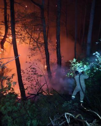 Suriye'de 7 gündür süren orman yangını kontrol altına alındı