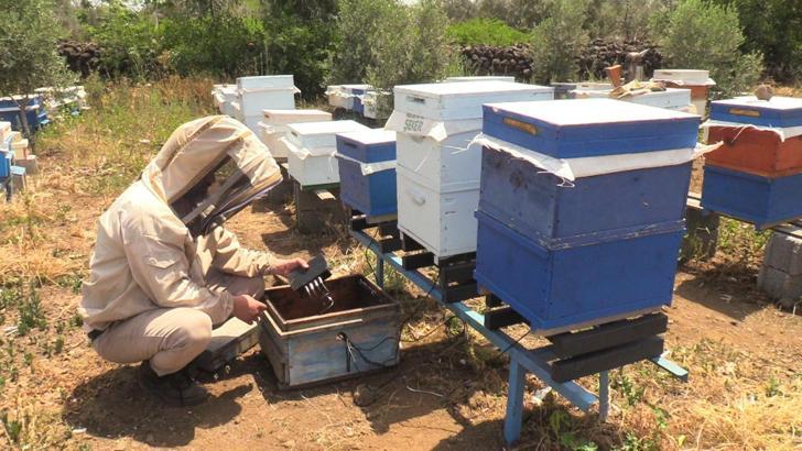 Osmaniyeli arıcılardan küresel iklim değişikliğine karşı teknolojik önlem