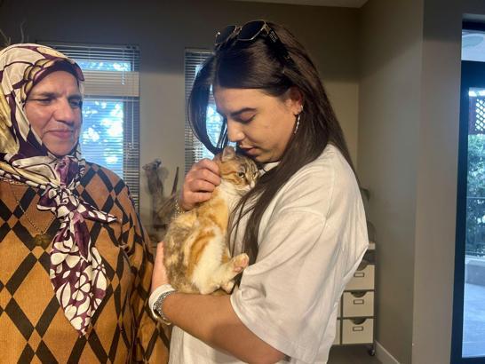 Depremzede kedi 'Defne'ye 2 yıl sonra yuva