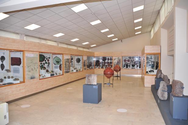 Ani’nin hikayesini anlatan sergide 196 eser ilk kez görücüye çıktı