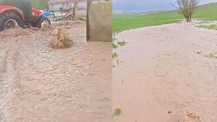 Sivas'ta sağanak sele neden oldu