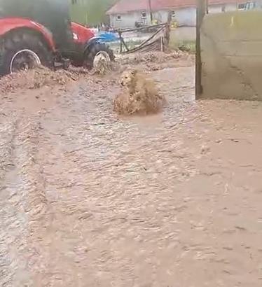 Sivas'ta sağanak sele neden oldu