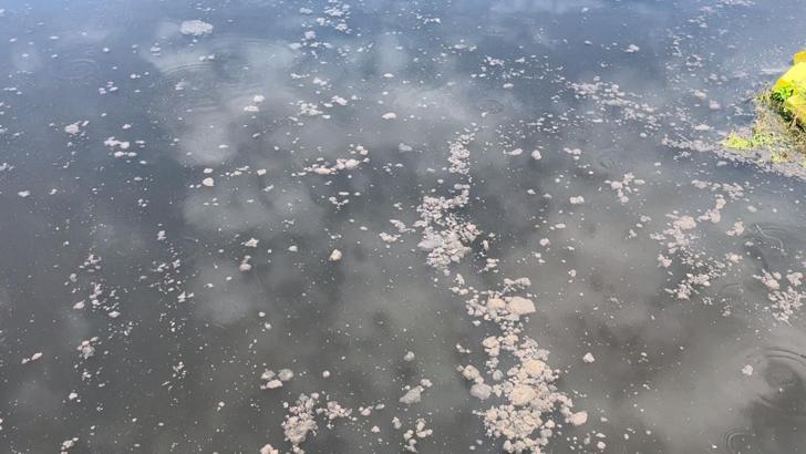 Yalova'da kanalizasyon suyu denize aktı, YASKİ'ye 4 milyon lira ceza yazıldı