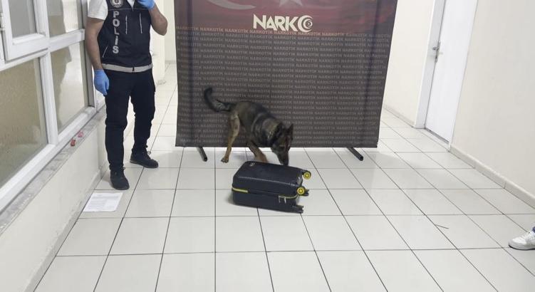 Otobüste valizine gizlediği uyuşturucuyu ‘Mailo’ buldu; tutuklandı