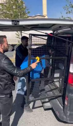 İstanbul - Bayrampaşa'da eski eşinin üzerine otomobilini sürdü