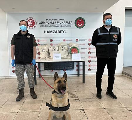Hamzabeyli'de 50 kilo uyuşturucuyu ‘Bodri’ buldu