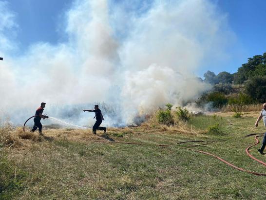 Bodrum'da ot yangınında 5 dönüm alan zarar gördü