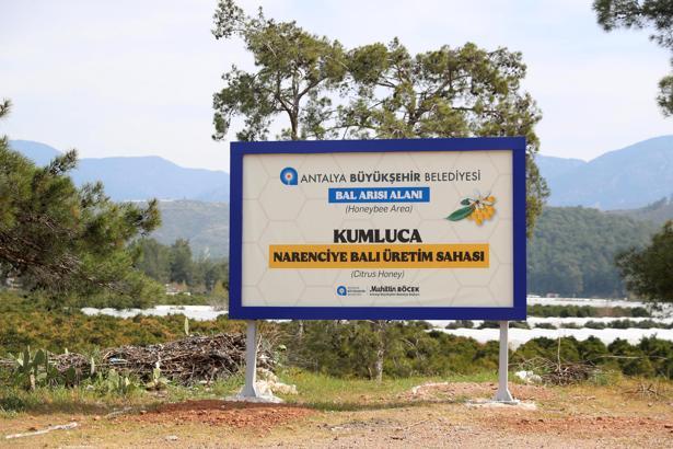 Narenciye balı koruma altında