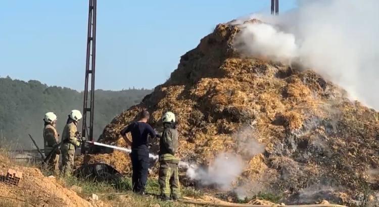 İstanbul- Arnavutköy'de samanlıkta çıkan yangın ahırlara sıçramadan söndürüldü