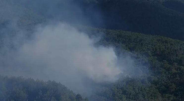 Hatay'da çıkan orman yangını büyümeden söndürüldü