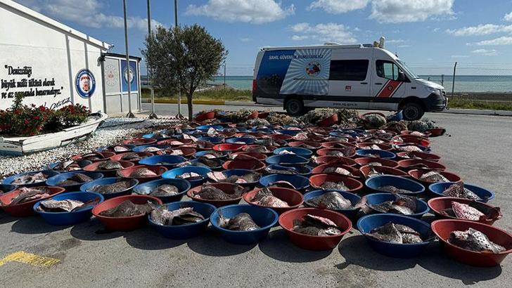 Arnavutköy'de kaçak avlanan 900 kalkan balığına el konuldu