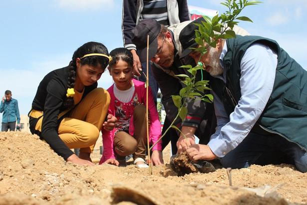 İHH yetimler için 160 bin fidan dikti