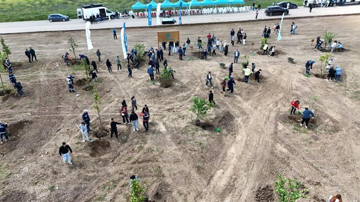 Kocaeli’de binlerce fidan toprakla buluştu