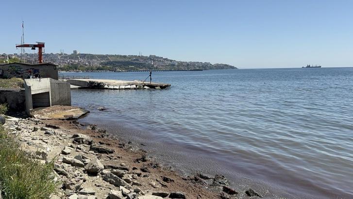 Tekirdağ'da kuvvetli rüzgar sonrası sahil kırmızı yosunlarla kaplandı